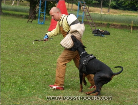 Training camp - Lukova 2007